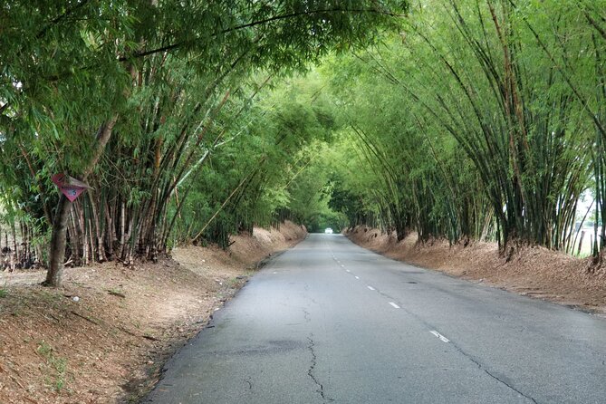 13. Appleton Rum Estate & Black River Safari Private Guided Combo all day tour - Entering the Appleton Estate in Nassau Valley