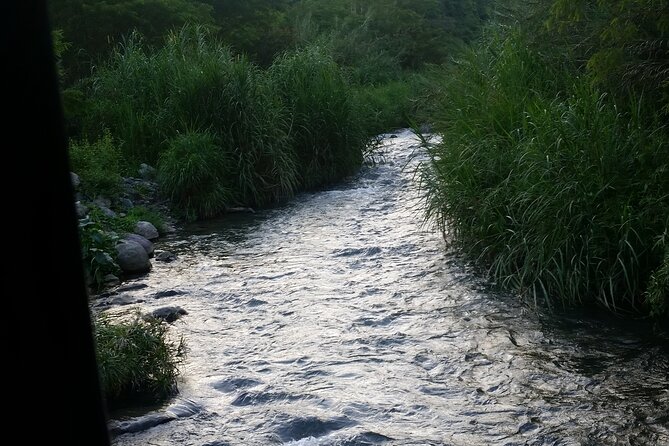 13. Appleton Rum Estate & Black River Safari Private Guided Combo all day tour - Who should book this Jamaica combination tour?