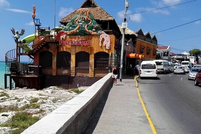 3-Hour Private Tour in the Highlights of Montego Bay - Montego Bay Viewpoints and the Camera Break