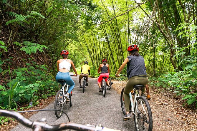 4-Hours Bike, Hike & Waterfall Tour in Blue Mountain with Lunch and Pick Up - What the $195.84 price really covers