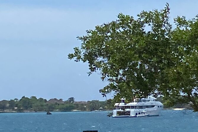 4 Hours Party Boat Catamaran Cruise in Negril - Finishing at Rick’s Cafe