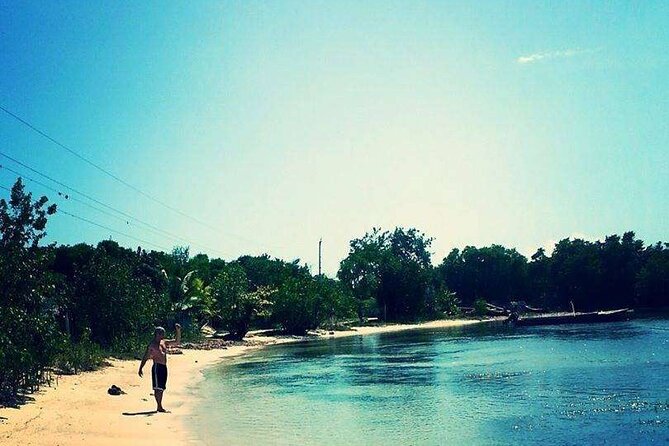 4 IN 1 Private & Customize Day Trip To Negril Including Entry Fee - What the $135 price really covers