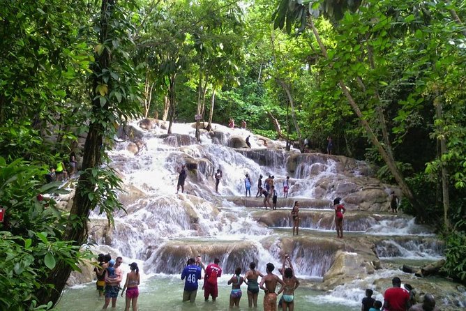 6. Bob Marley 9miles/Dunn's River Private Tour(420 Friendly)final resting place - Is $235 per person a fair price?