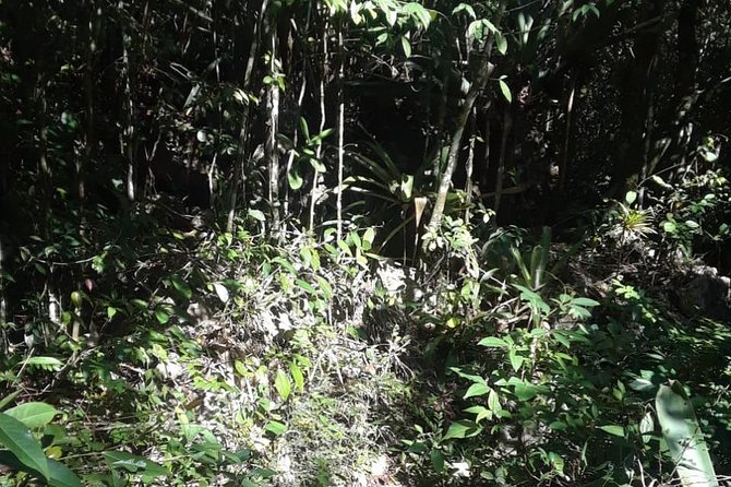 Accompong Town Of The Maroons Day Adventure - What the $250 price really buys