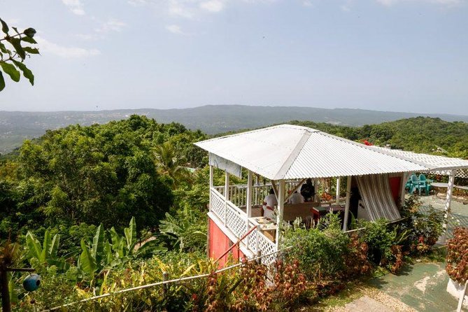 Ahhh Ras Natango Gallery and Garden Private Tour &Transportation - A quiet change of pace above Montego Bay