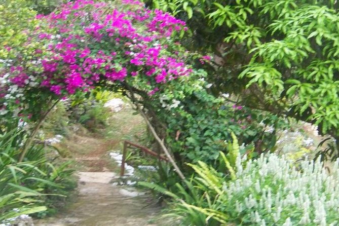 Ahhh Ras Natango Gallery and Garden Private Transfer - The Seasonal Juice at the End