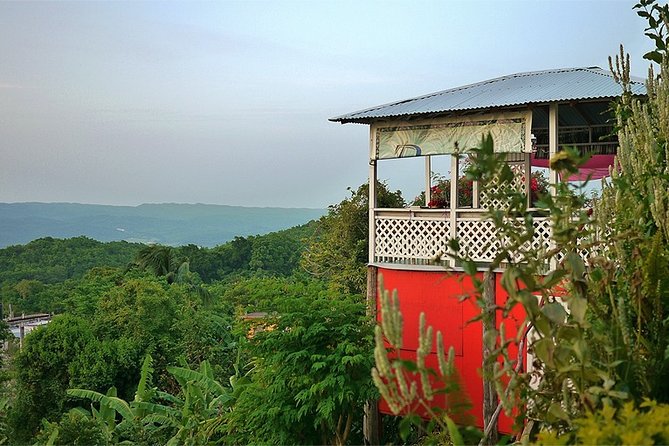 Ahhh Ras Natango Gallery and Garden Private Transfer - Who Will Enjoy This Visit Most?
