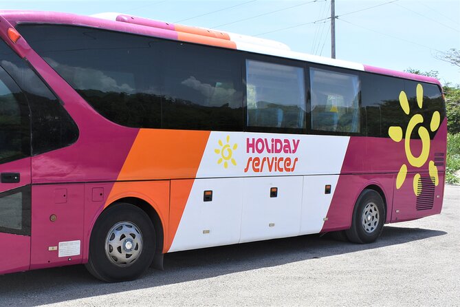 Airport Shuttle from Montego Bay (MBJ) to Hotel - Drivers who make the ride better