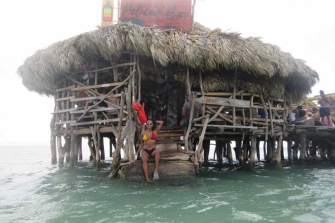 Appleton Estate Rum and Floyd's Pelican Bar Tour - Who will enjoy this private Jamaica outing?