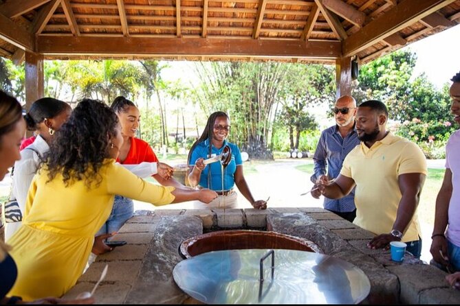Appleton Estate Rum Tasting Experience - Why Private Transport Changes the Experience