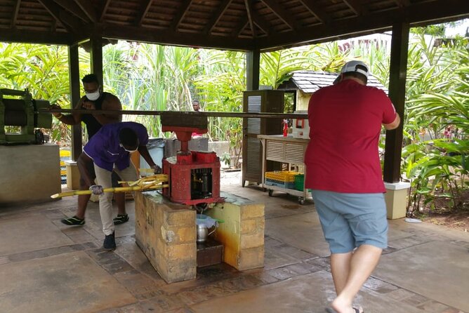 Appleton Estate Rum Tour and Pelican Bar Customize Tour - Why This South Coast Day Trip Is Worth Considering