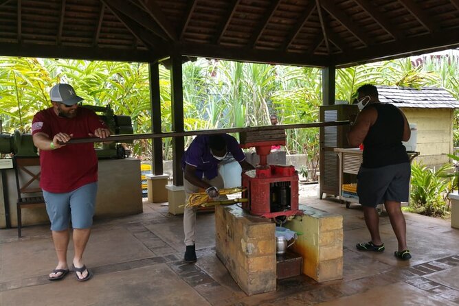 Appleton Estate Rum Tour and Pelican Bar Customize Tour - Leaving Montego Bay for the Jamaican Countryside