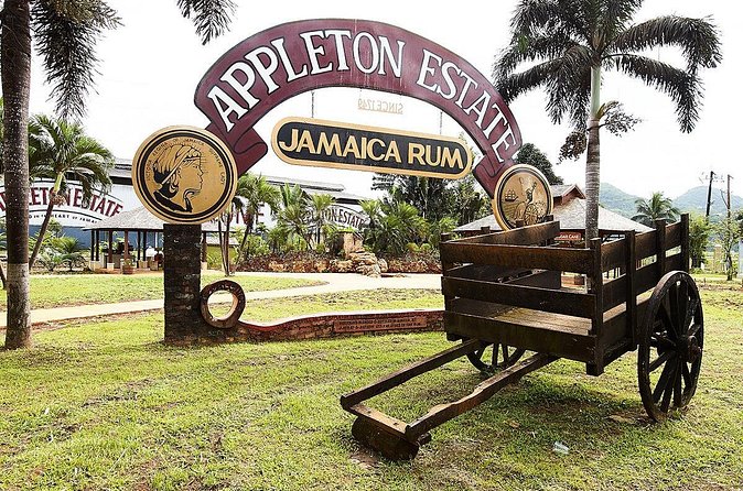 Appleton Estate Rum Tour and Tasting from Kingston - How the timing shapes the day