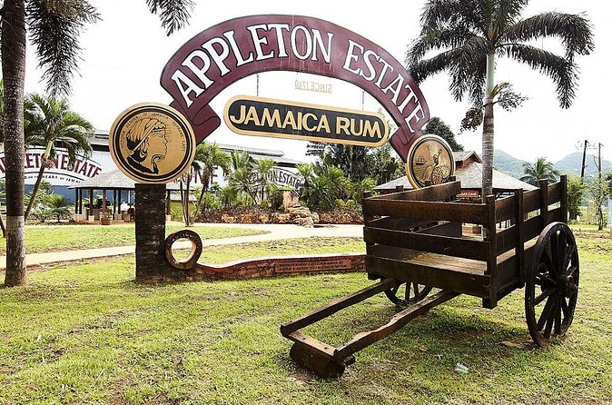 Appleton Estate Rum Tour and Tasting from Ocho Rios - Tasting several Appleton rums