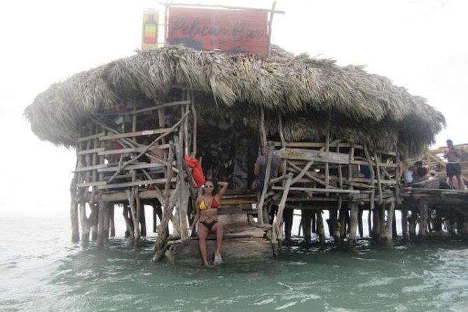 Appleton Estate Rum, YS Falls, Black River Safari / Floyd's Pelican Bar Tour - A private South Coast day from Montego Bay