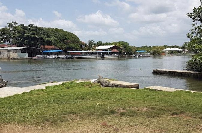 Appleton Estate Rum, YS Falls, Black River Safari / Floyd's Pelican Bar Tour - Why the driver matters on this route
