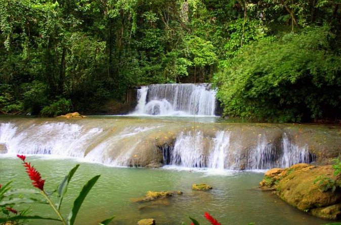 Appleton Estate, Ys Falls and Black River Safari Private Tour - Private transport and the value of a full day