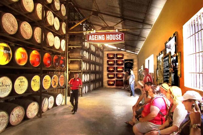 Appleton Estate, Ys Falls and Black River Safari Private Tour - Who should book this excursion?