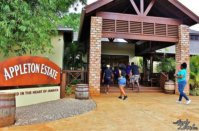 Appleton Estate, Ys Falls and Black River Safari Private Tour - Final verdict: book it for variety and convenience