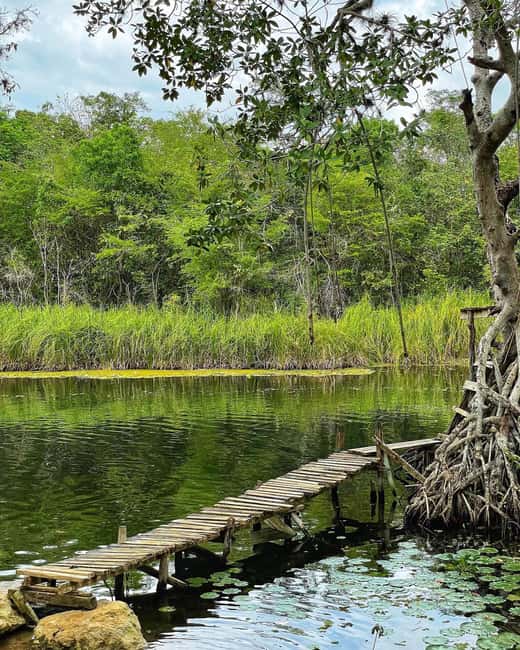 Appleton Rum Factory and Black River Safari Tour - Should you book the Appleton and Black River tour?