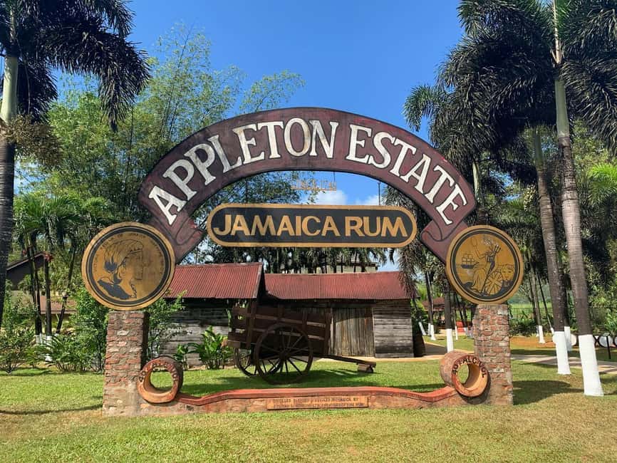 Appleton Rum Factory and Black River Safari Tour - Why this pairing works so well
