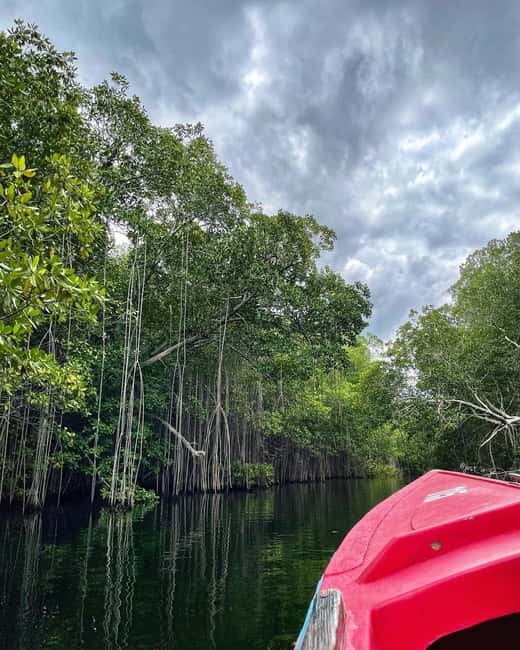 Appleton Rum Factory and Black River Safari Tour - Black River Safari: slow water and wild crocodiles