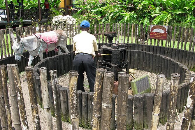 Appleton Rum Tour and Floyd’s Pelican Bar from Montego Bay Hotels and Villas - What the private format really adds