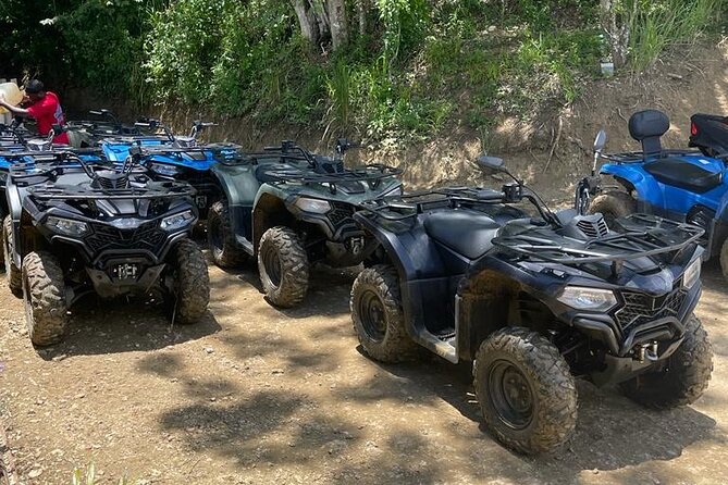 ATV Adventure + 7miles beach + Rick's café in Negril - Key points at a glance