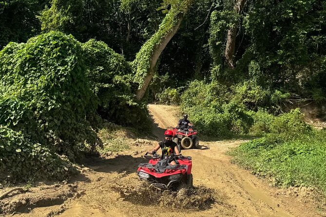 “ATV Adventure & Rick’s Café Experience from Montego Bay - Who will enjoy this outing most