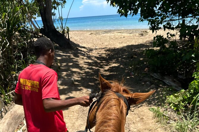 ATV, Bamboo Rafting, Horseback Ride From Montego Bay- Private - What $355 per person really buys
