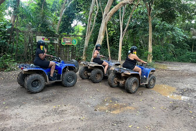 ATV , Horseback Ride & Ricks Cafe Sunset Tour From Montego Bay - Horseback riding with a swim