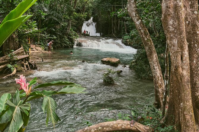 ATV Ride, Spanish Bridge, Blue Hole & Secret Falls-Private Tour - Who will enjoy this day most