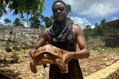 ATV Tour from Montego Bay with private transportation
