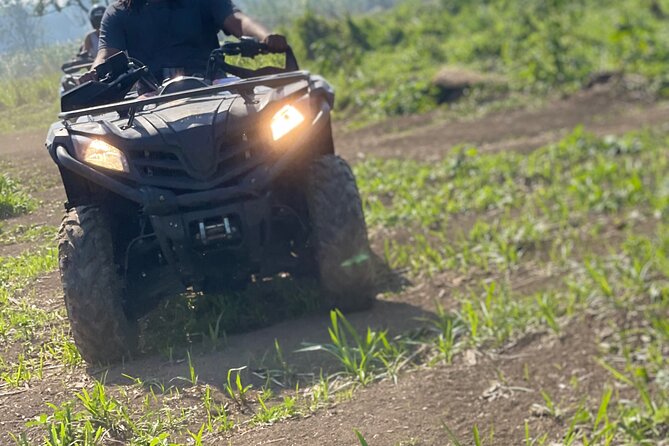 ATV, Zipline, Horseback, Bamboo Rafting and Rick’s Cafe - Ziplining Above the Trees