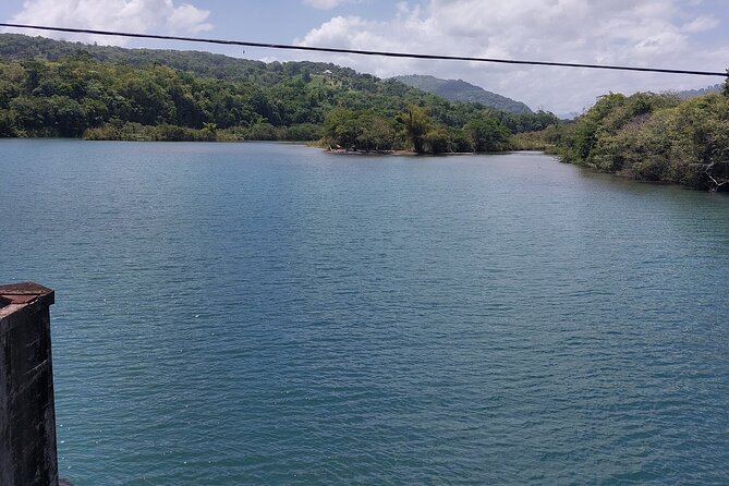 Bamboo Rafting and Boston Jerk Centre Tour in Portland Jamaica - Is $220 per person a fair price?