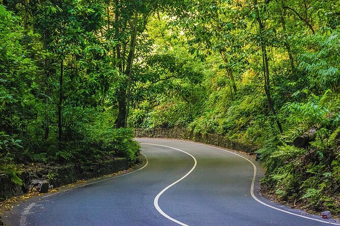 Bamboo rafting and Horseback ridding - How the day fits together from Montego Bay