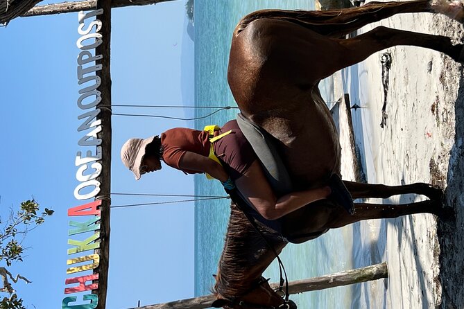 Bamboo Rafting & Horseback -dunns river Transportation Included - What the price includes, and what it does not