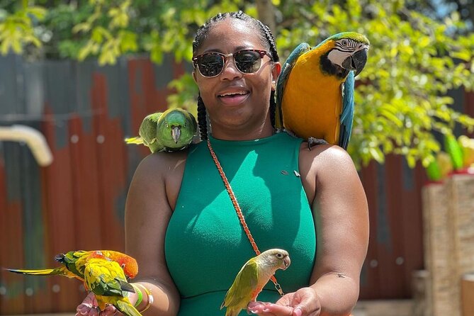Bamboo Rafting Limestone Massage, Exotic bird and Herb Farm Tour - Five things to know before you book