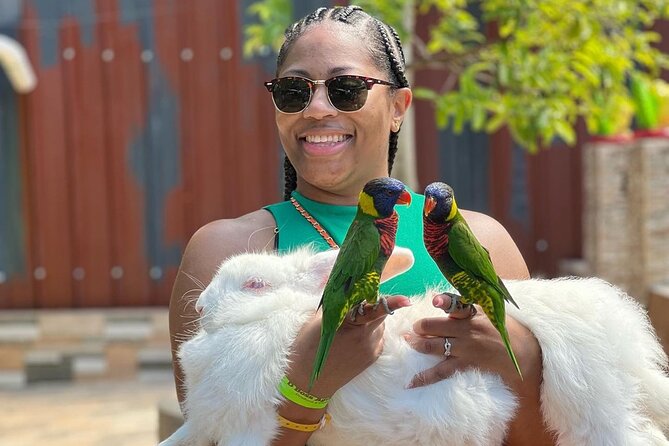 Bamboo Rafting Limestone Massage, Exotic bird and Herb Farm Tour - A gentle Jamaica outing rather than an adrenaline trip