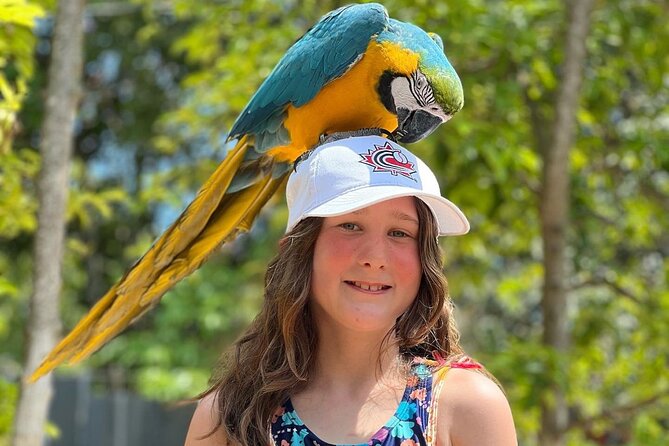Bamboo Rafting Limestone Massage, Exotic bird and Herb Farm Tour - Is $90 a fair price?