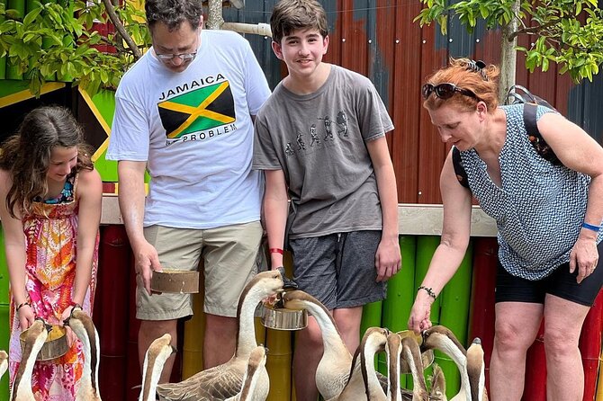 Bamboo Rafting Limestone Massage, Exotic bird and Herb Farm Tour - Lethe: one quiet hour on a bamboo raft