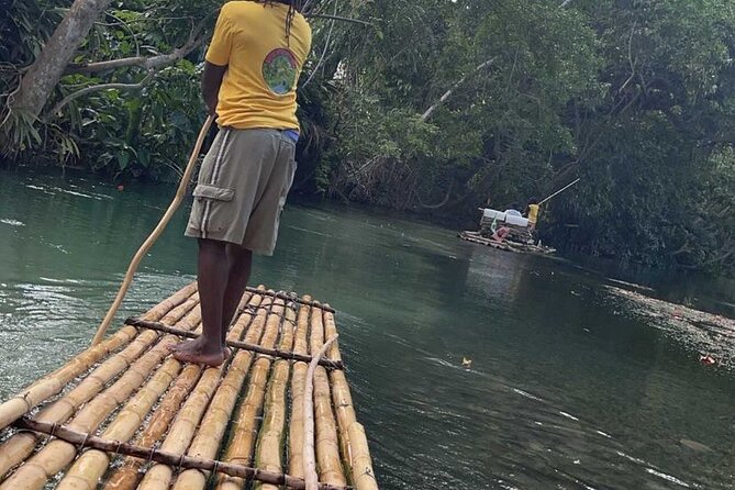 Bamboo River Rafting Experience from Ocho Rios - Rainforest views, birds, fish, and local stories