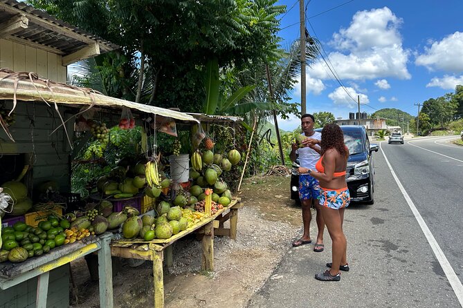 Benta River & Falls Private Tour From Montego Bay - Rope swing, caves, mud bath, and waterfall time
