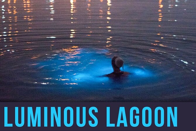 Bioluminescence Lagoon Tour from Montego Bay with Pick Up - Swimming in the glowing water