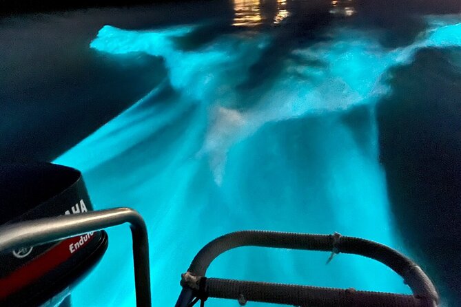 Bioluminescence Lagoon Tour from Montego Bay with Pick Up - Who will enjoy this evening outing