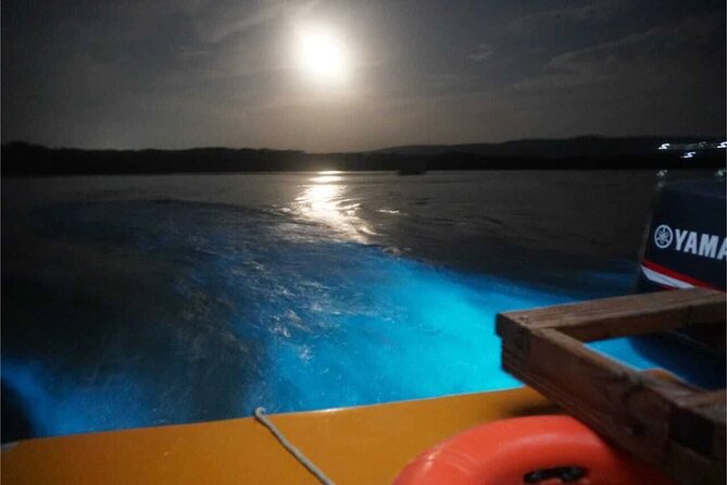 Bioluminescent Private Night Tours From Montego Bay - Sunset turns the Martha Brae meeting point into a night show