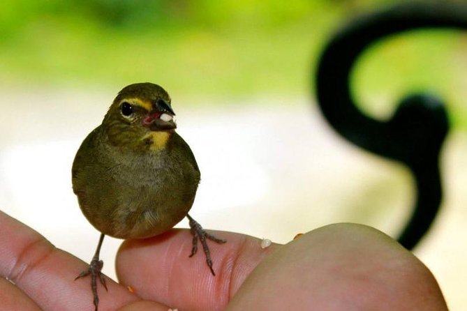 Bird Sanctuary (Montego Bay) Jamaica - Key points to know before booking