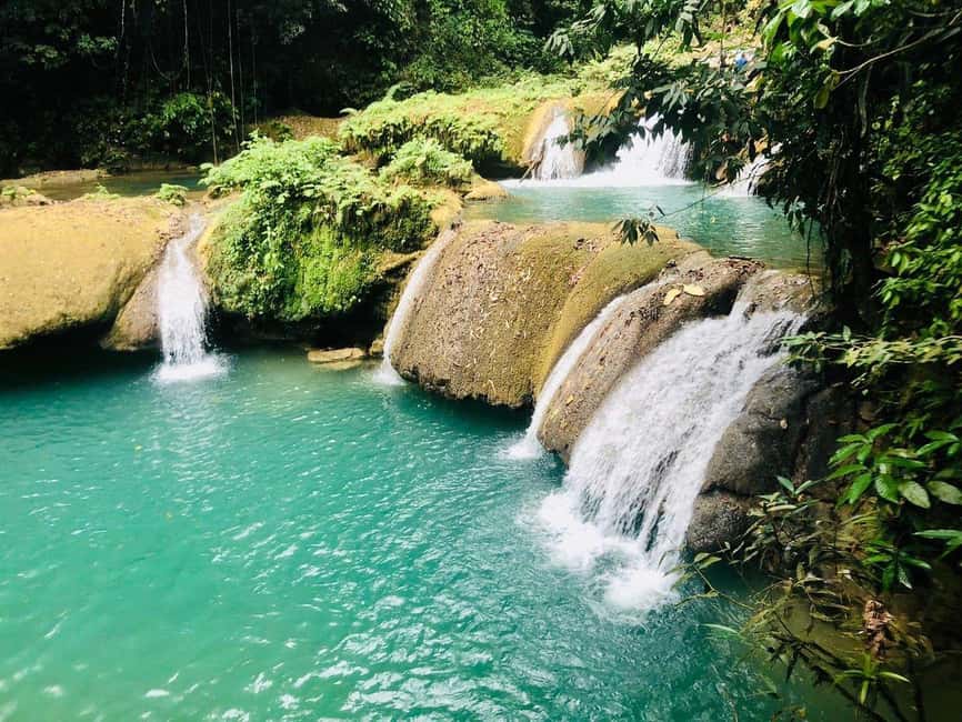 Black River Safari and Ys Falls Tour and Transportation - Black River by boat, with crocodiles and local stories
