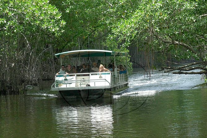 Black River Safari and YS Falls Tour from Montego Bay - Key Things to Know Before You Book