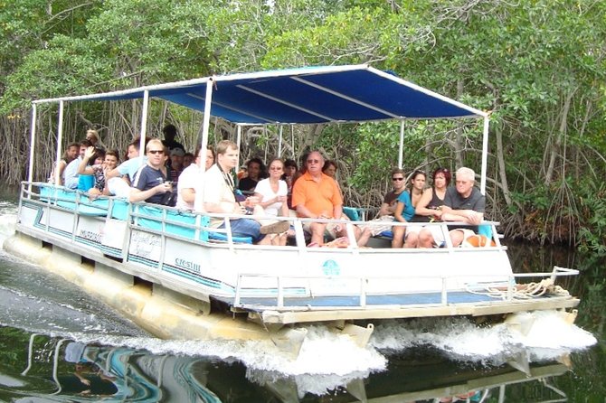 Black River Safari/YS Falls plus Floyd's Pelican Bar Private Tour - Key points at a glance